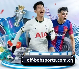 bob体育入口 APP - Bsports